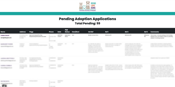 animal shelter adoptions data 