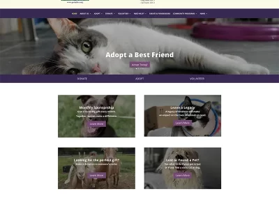 Pets Alive - Animal Rescue