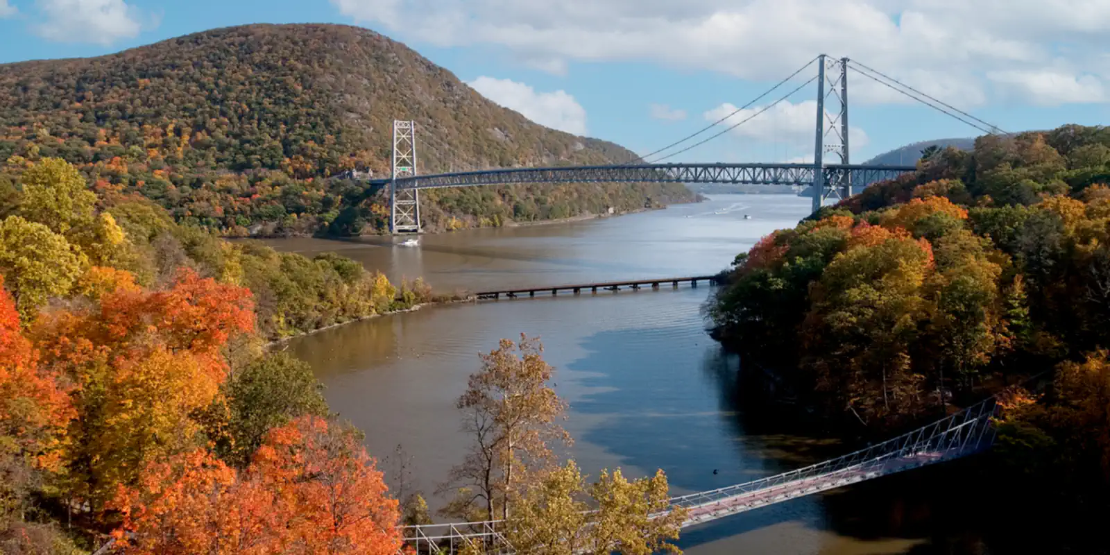 Brochures showing executive print design services for fractional leaders