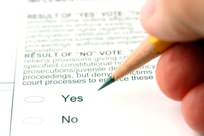 Example of a ballot
