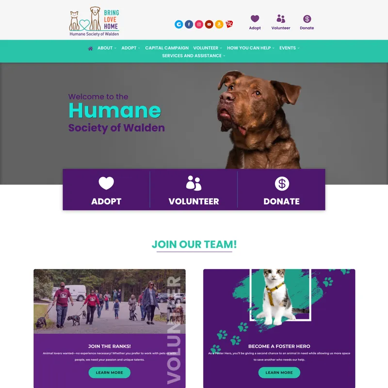 Humane Society of Walden Website Improvements